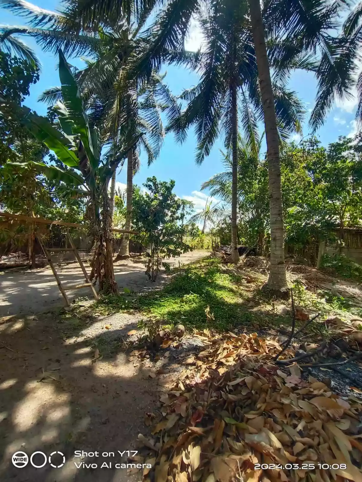 1 HECTARE FOR SALE IN POLOMOLOK — Agricultural Lot in Polomolok, South Cotabato, Philippines — Photo 3