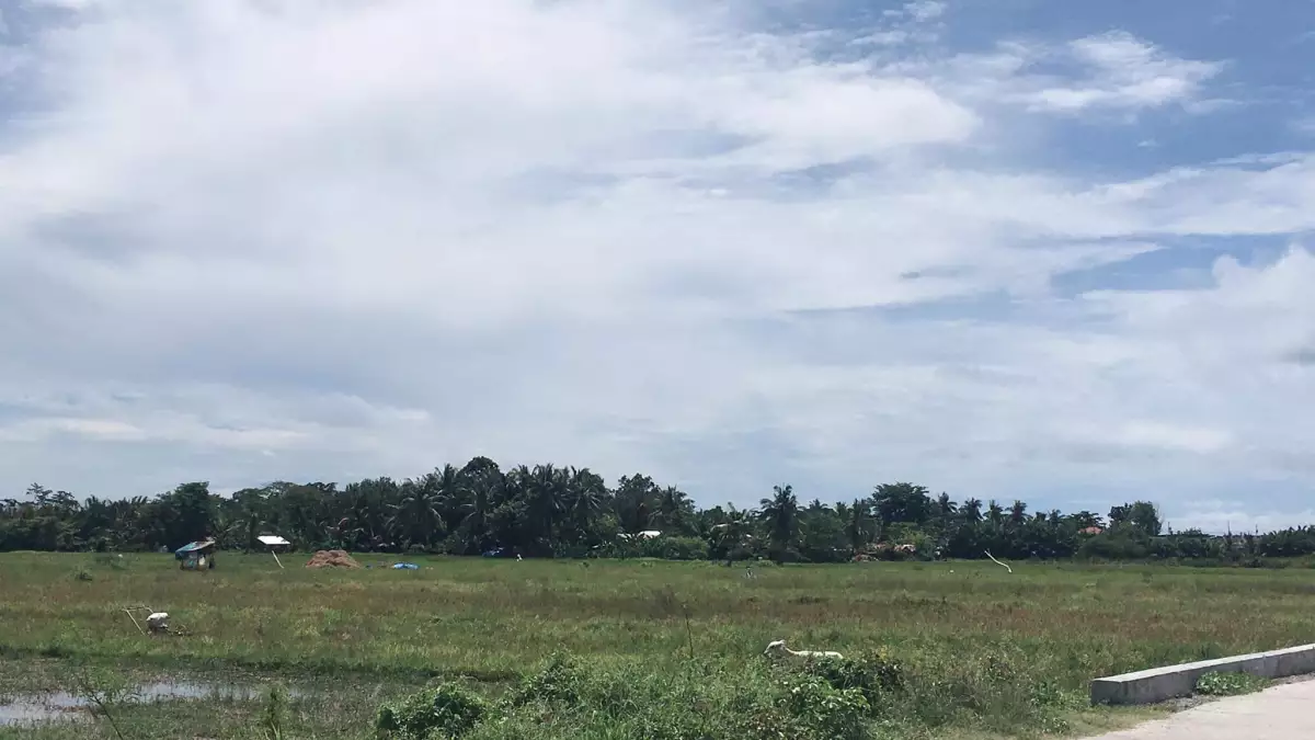 FOR SALE Agricultural /residential lot - photo 4