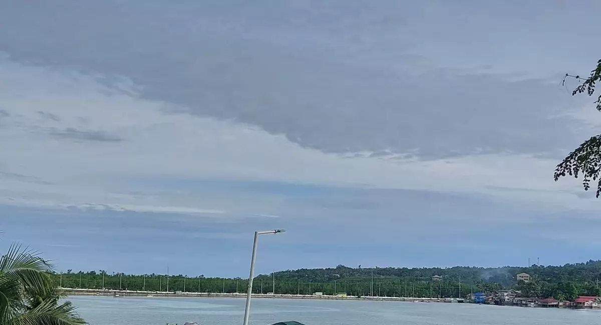 Commercial Lot in Tagbilaran City for Sale!!! — Commercial Lot in Tagbilaran City, Bohol, Philippines — Photo 3