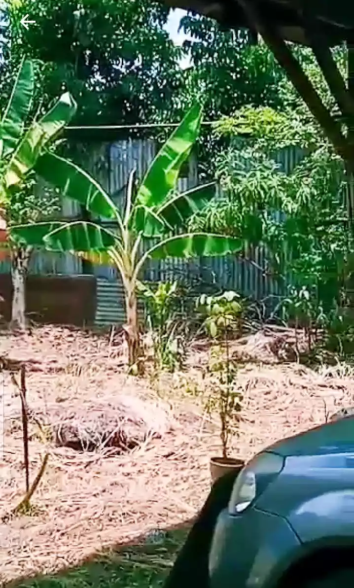 Lot for sale - photo 5