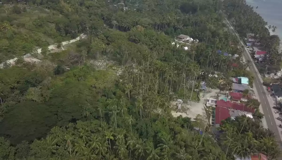 Lot Near The Beach in San Juan, Siquijor - photo 3