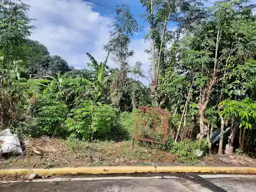 St.Charbel South (sta.Lucia properties) — Residential Lot in Executive Village, Dasmari?as, Cavite — Photo 7