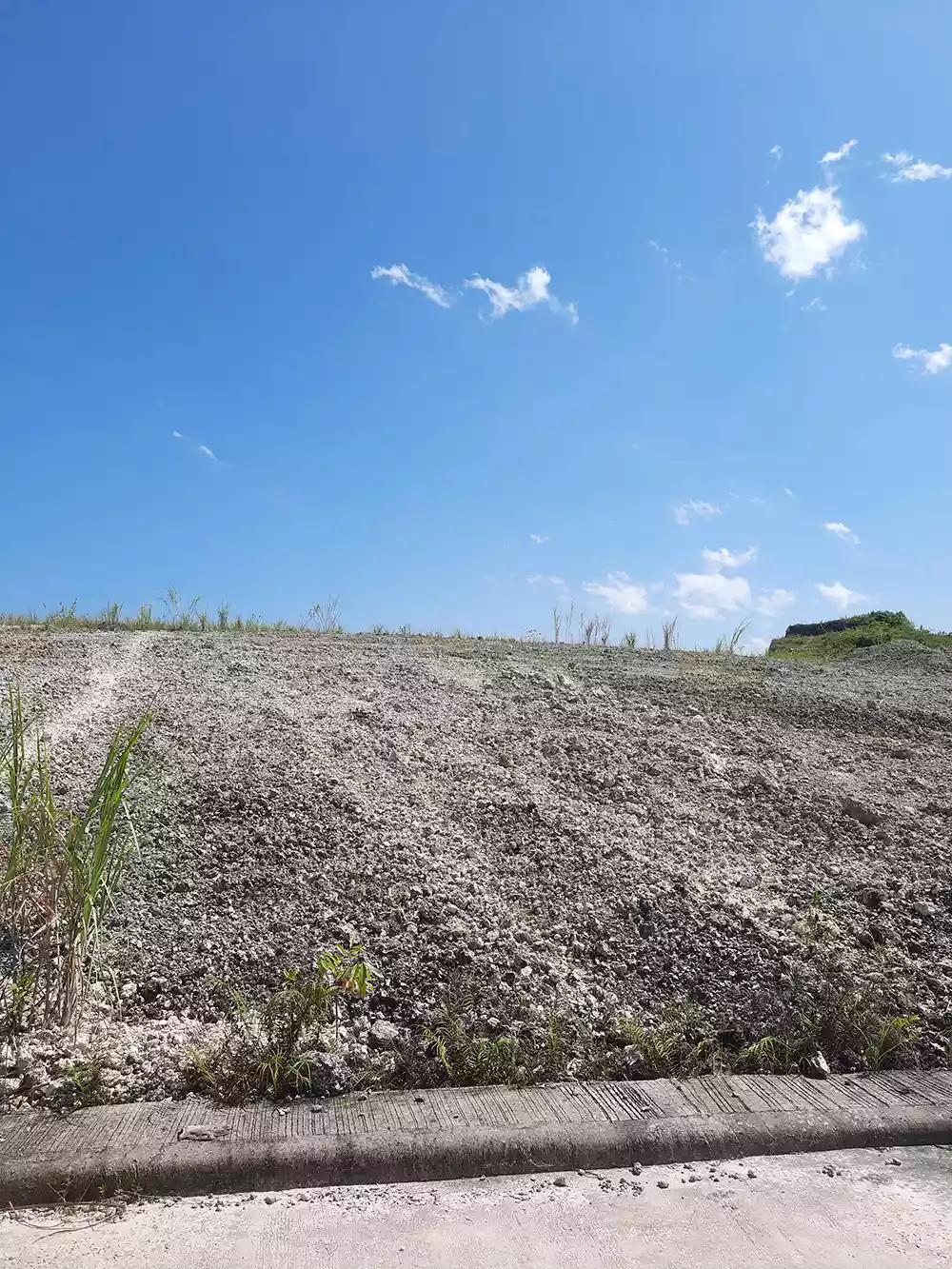 Premier Lot with Panoramic Views of Cebu at Monte De Piedra
