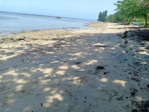 White sand beach — Beach Lot in Butuan City, Agusan Del Norte, Philippines — Photo 2