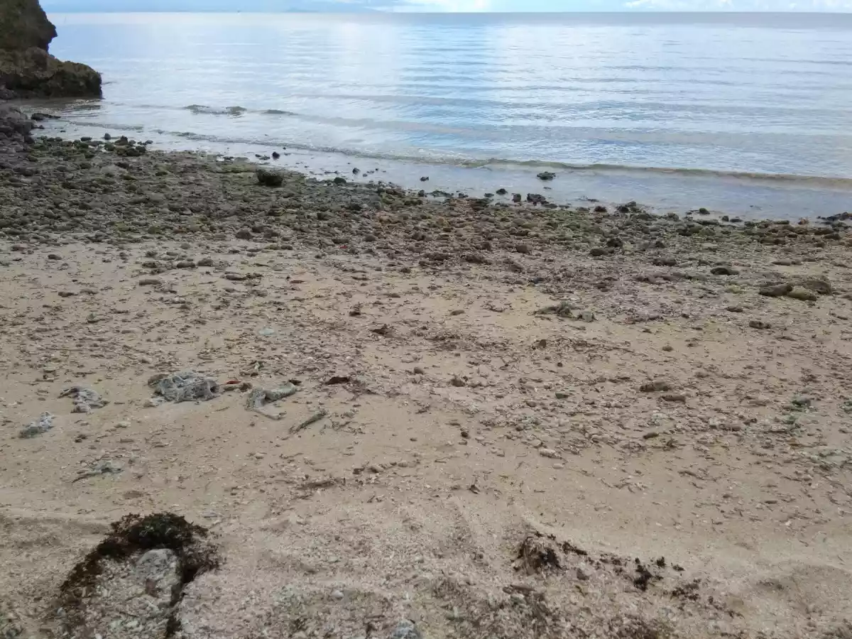 White Sand Beach Lot - photo 2