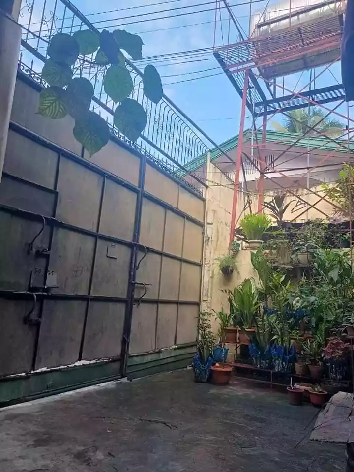 House & Lot - photo 3