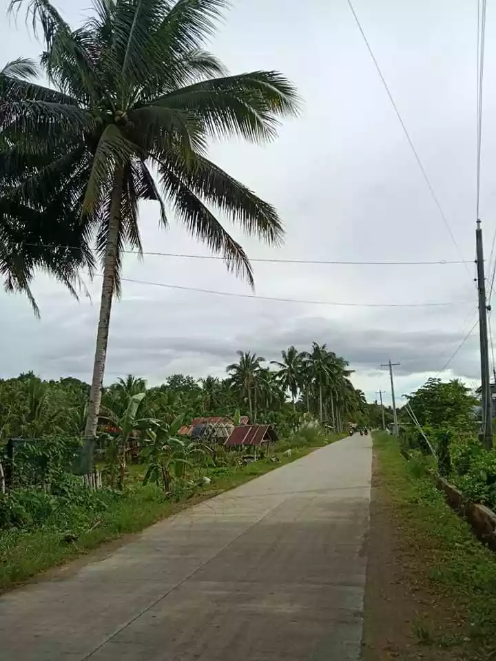 Residential Lot for Sale in Sagbayan, Bohol — Residential Lot in Sagbayan - Danao Road, Sagbayan, Bohol — Photo 2