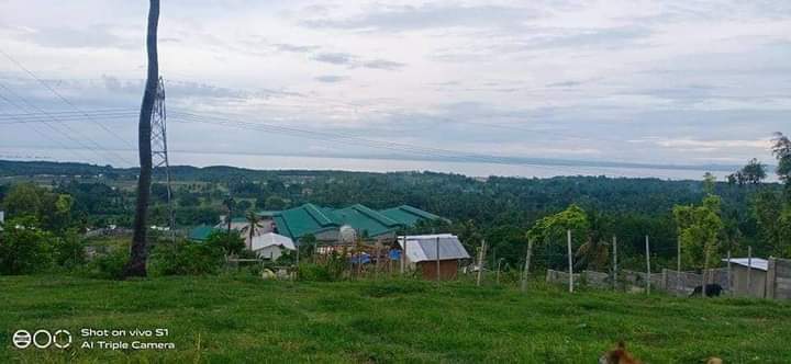 Lot for Sale