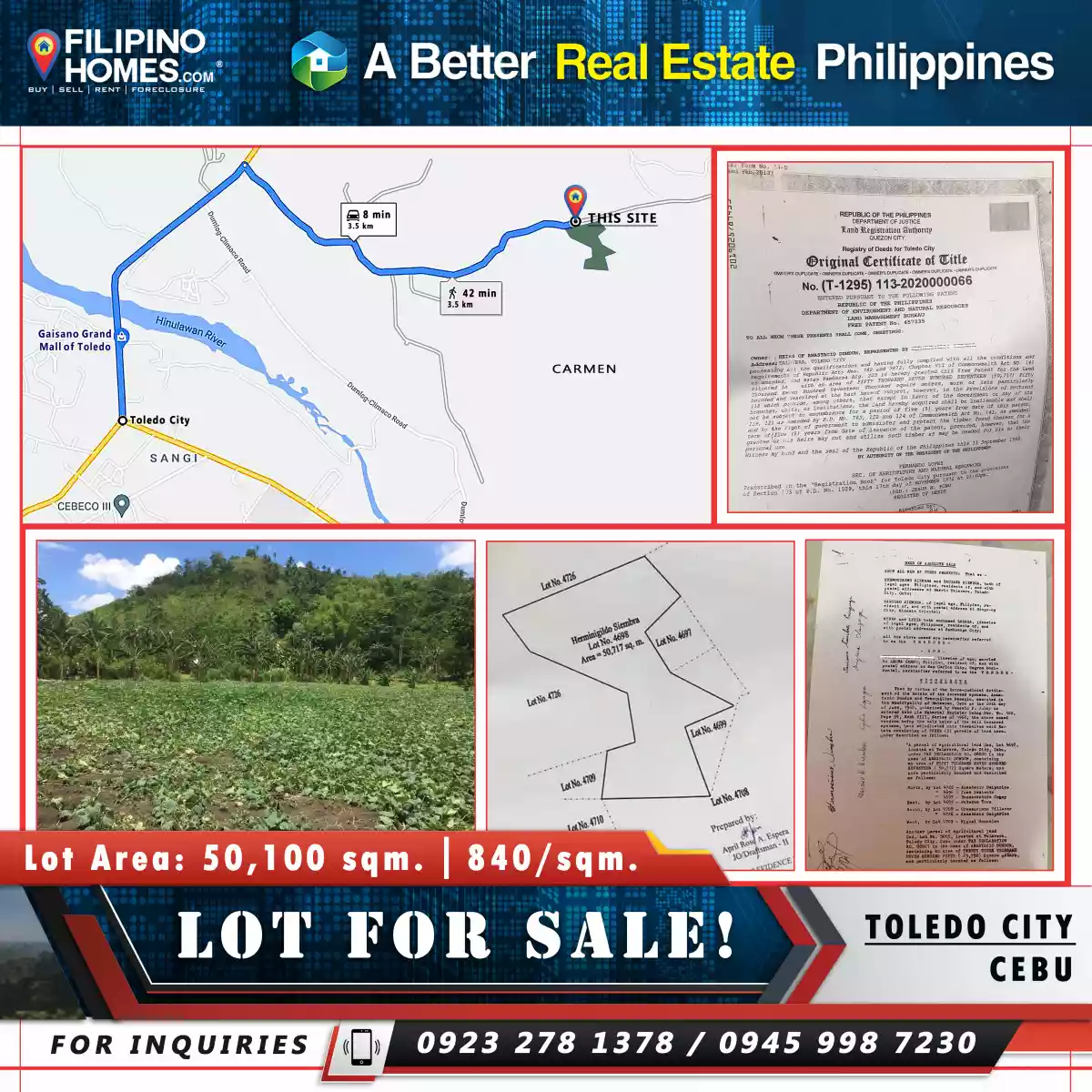 _LOT FOR SALE!  Carmen, Toledo City, Cebu...5.1 Hectares along brgy. Road 