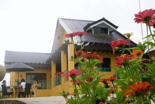 House and Lot in Argao FOR SALE??