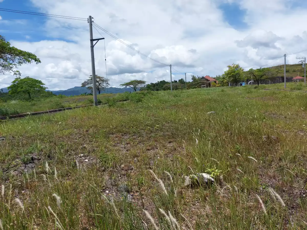 Lot for sale - photo 4