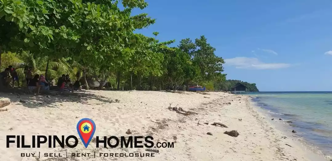 Open photo 11 of 25 — 3 Hectares Whitesand Beach Property 