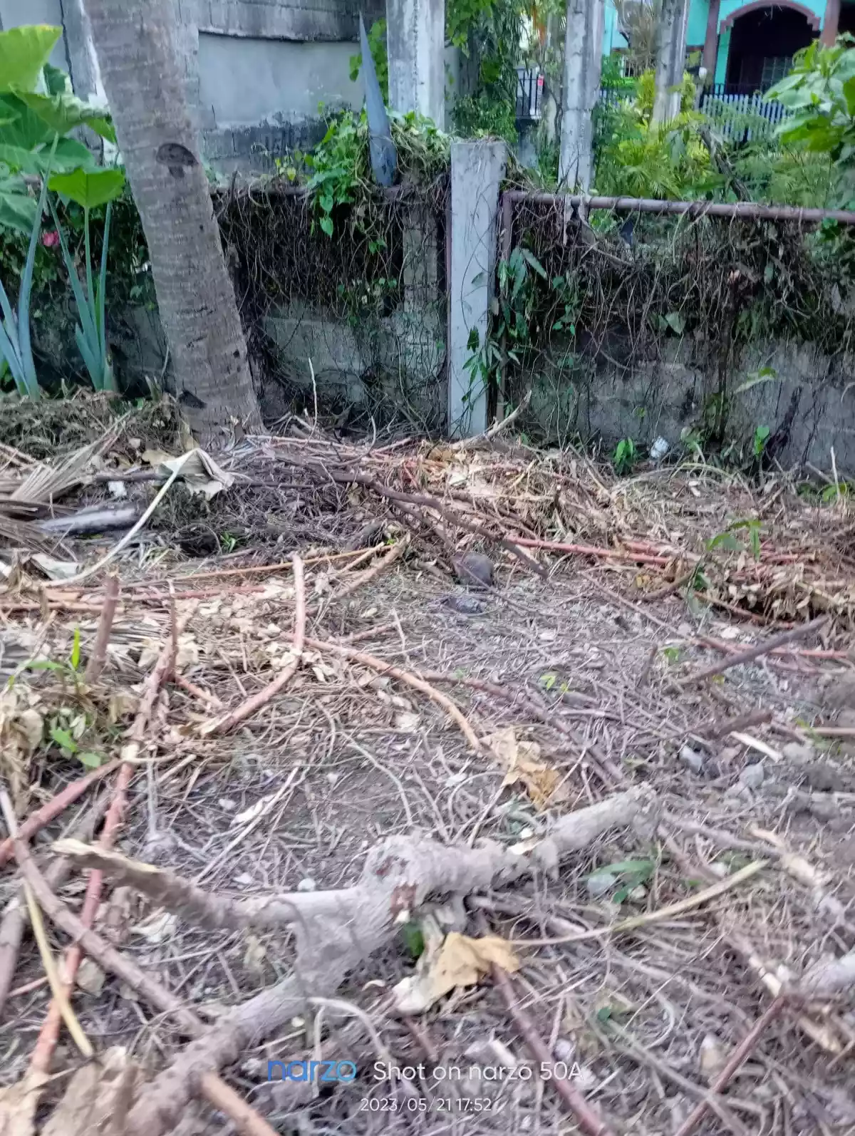 RESIDENTIAL LOT FOR SALE IN TALISAY CITY!! - photo 5