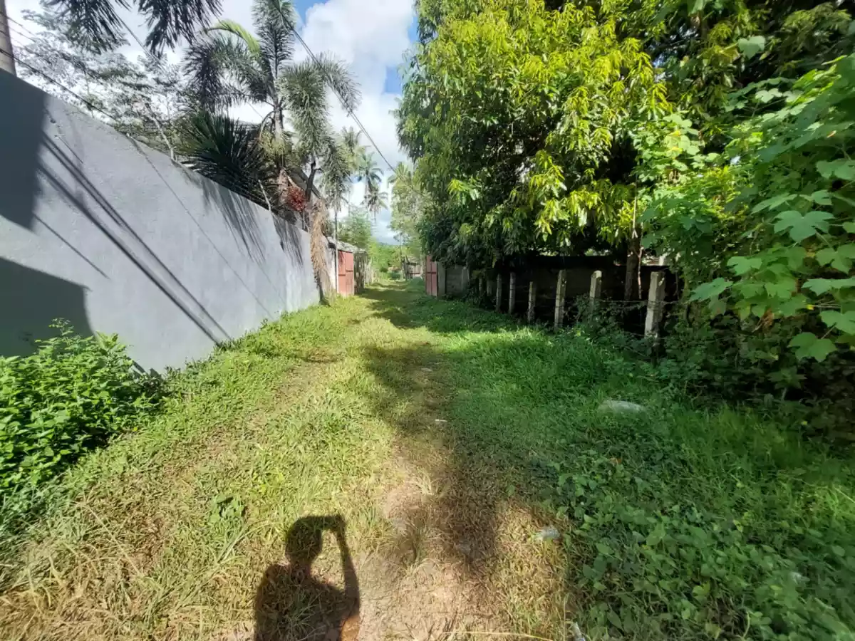 Farm Lot Convertible to Residential — Agricultural Lot in Negros Oriental, Philippines — Photo 5