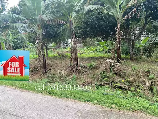 Ren Titled Lot for Sale 1093sqm — Residential Lot in Valencia Negros Oriental, Valencia, Negros Oriental — Photo 4