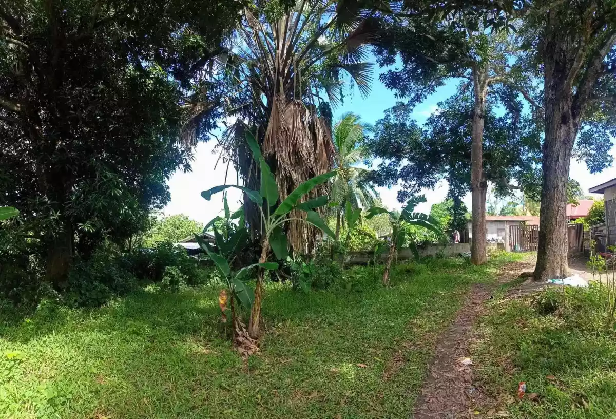 For SALE 2332 SQM LOT IN DAVAO CITY