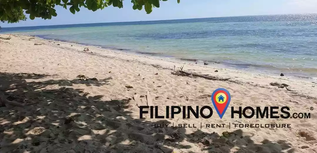 Open photo 21 of 25 — 3 Hectares Whitesand Beach Property 