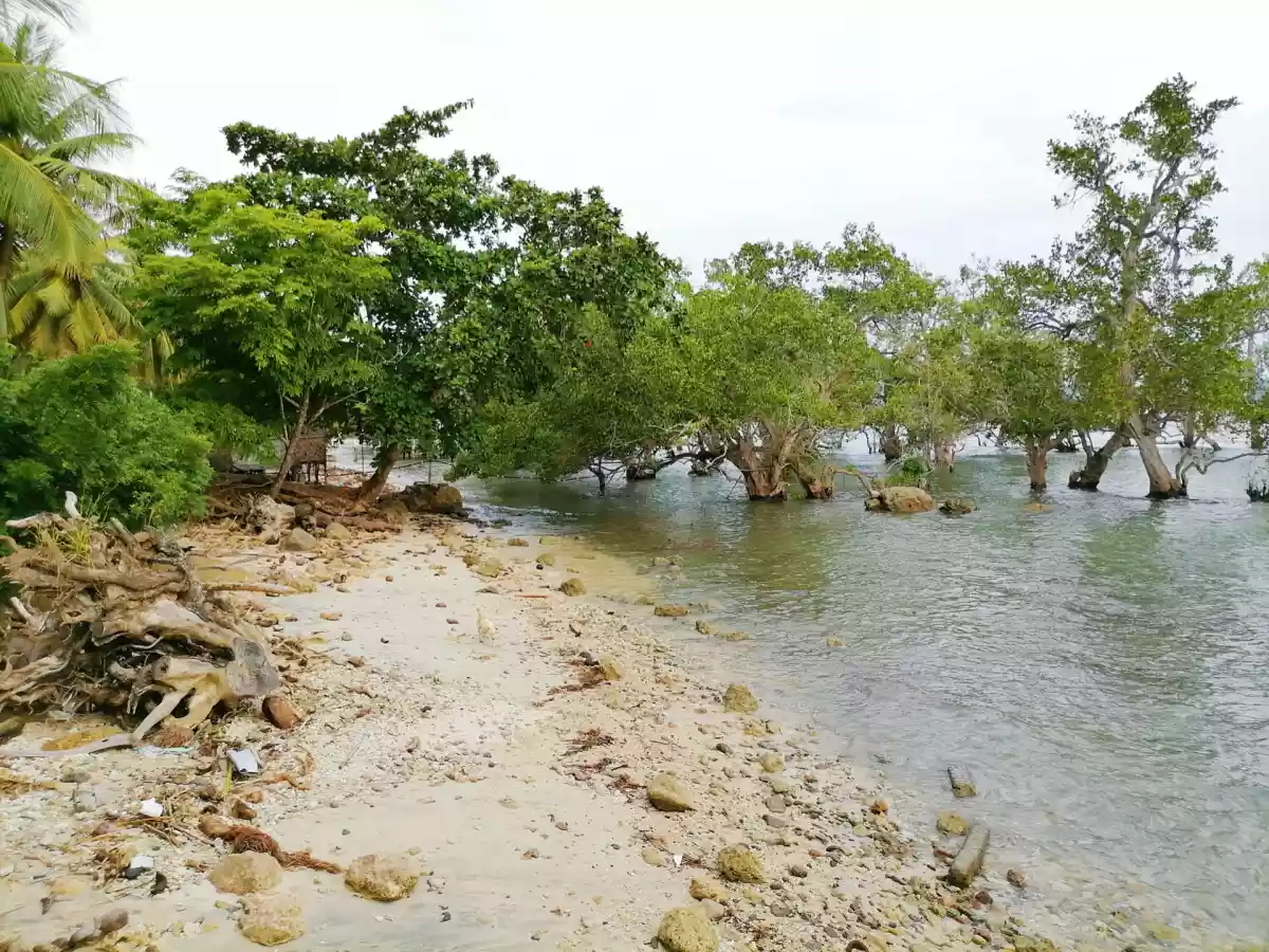 568 SQM Beach Lot FOR SALE!  - photo 3