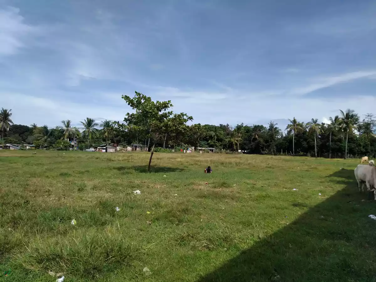 Industrial Lot for sale - photo 5