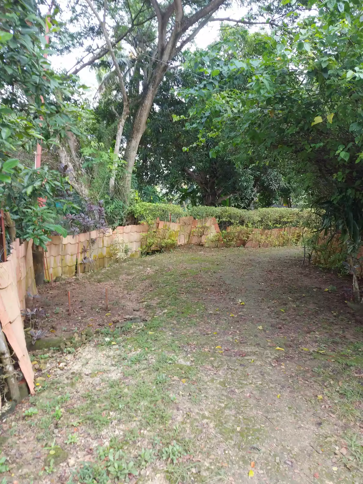 Beach House For Sale in San Remegio, Cebu - photo 5
