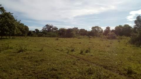 LOT FOR SALE - PANGLAO, BOHOL - photo 4