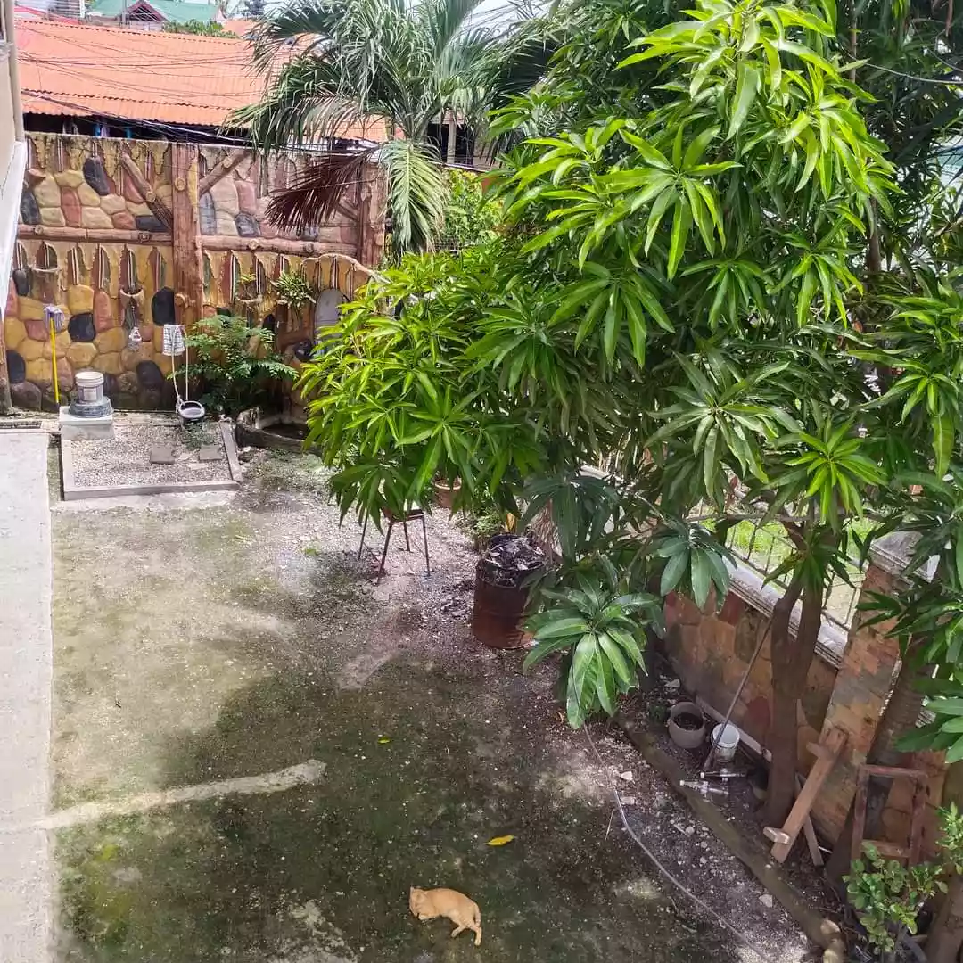 FOR SALE 4 DOORS APARTMENT  - photo 4