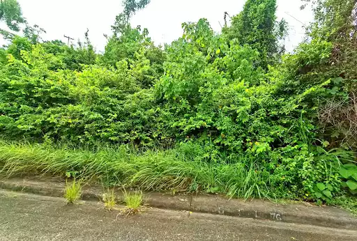 Open photo 11 of 22 — Vista Grande Subdivision Lot