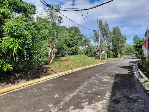 St.Charbel South (sta.Lucia properties) — Residential Lot in Executive Village, Dasmari?as, Cavite — Photo 5