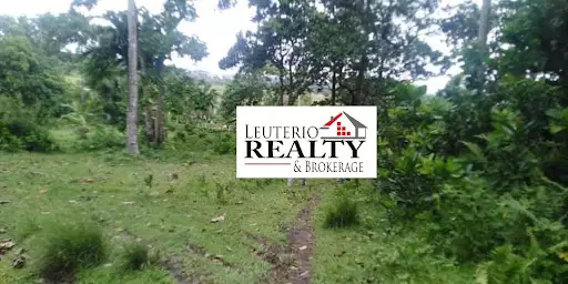 Agricultural Lot for Sale in Daraga, Albay — Agricultural Lot in Albay, Philippines — Photo 5