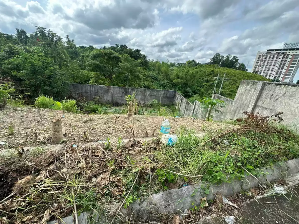 Lot only — Residential Lot in Cebu, Philippines — Photo 3