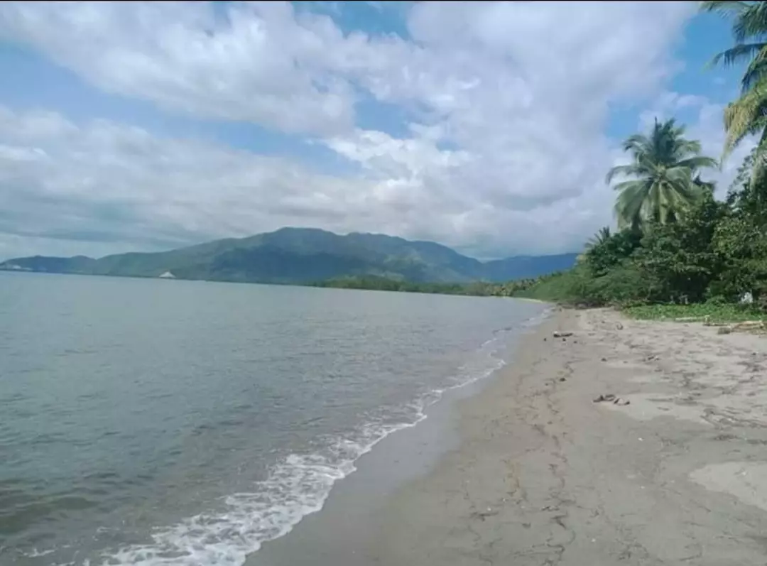 Beach Lot FOR SALE — Beach Lot in Banaybanay, Davao Oriental, Philippines — Photo 3
