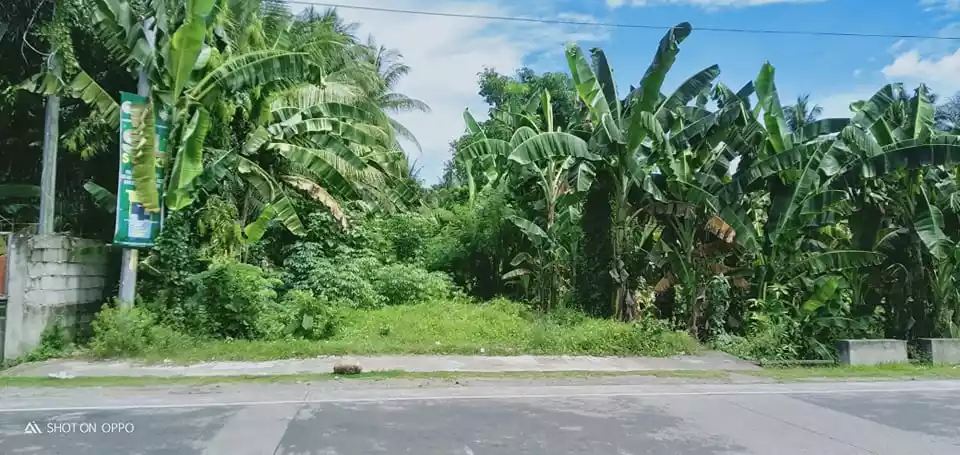Commercial Lot For Sale - Along National Superhighway — Commercial Lot in Negros Oriental, Philippines — Photo 3
