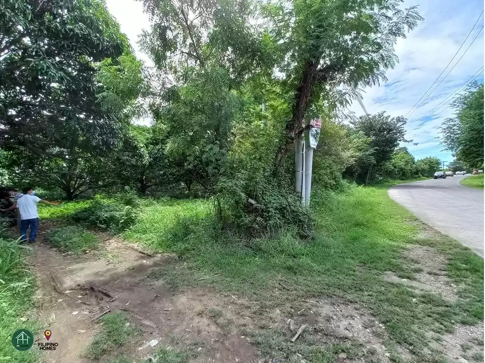 21 Hectare Lot in Calatagan, Batangas — Agricultural Lot in Calatagan, Batangas — Photo 2
