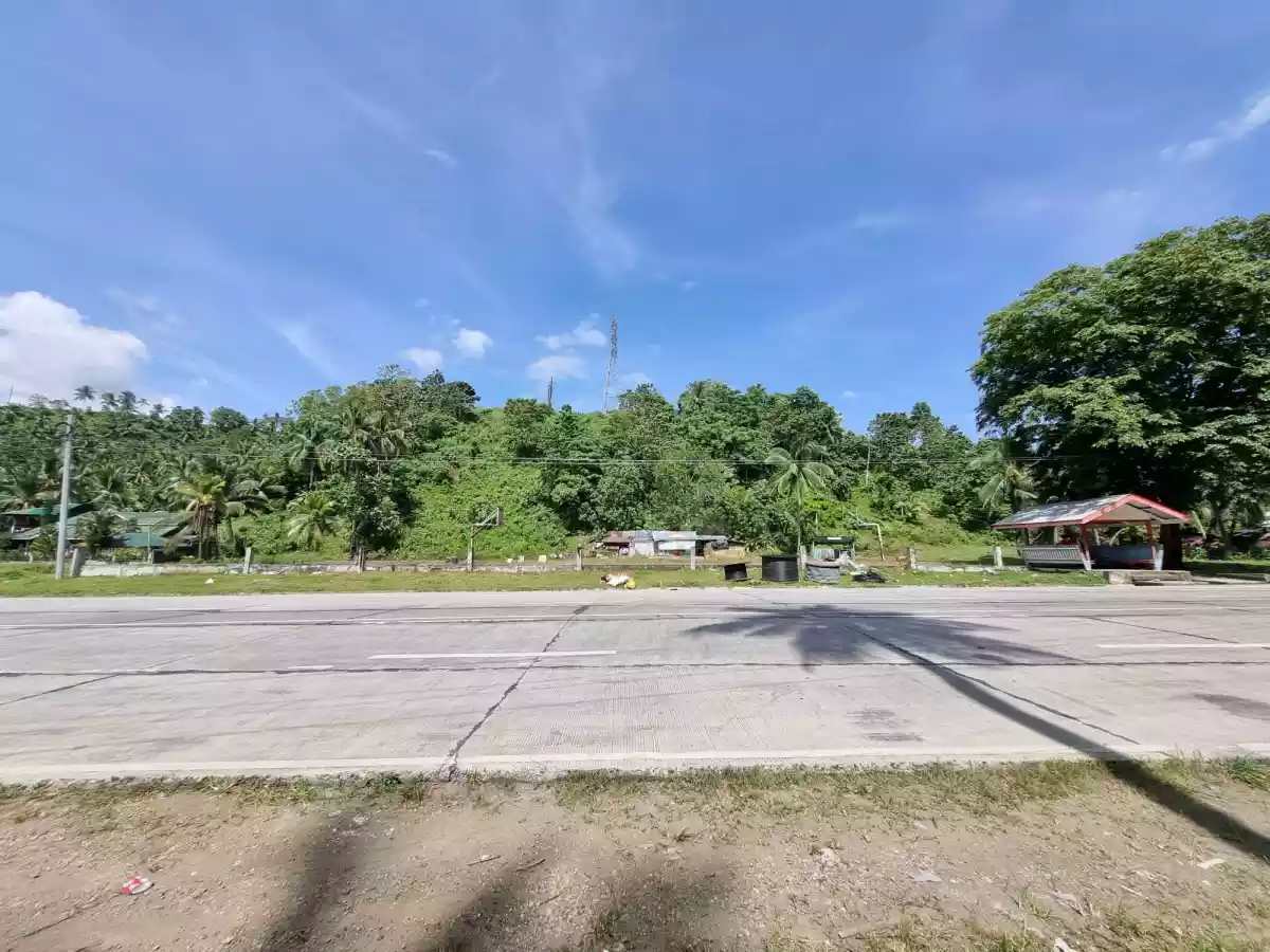 1.3 Hectares Land for Sale - photo 3