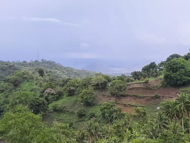RUSH SALE 2 HECTARE LAND IN LEMERY BATANGAS OVERLOOKING TAAL LAKE! — Agricultural Lot in Diokno Highway, Lemery, Batangas — Photo 2