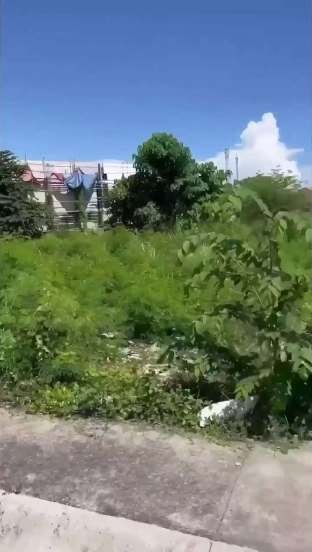 Residential Lot Only for Sale in Corona Del Mar Subdivision in Talisay City — Residential Lot in Pooc, Talisay, Cebu — Photo 5