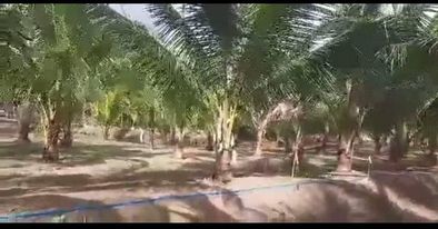 Lot for sale — Residential Lot in Calaca, Batangas, Diokno Highway — Photo 3