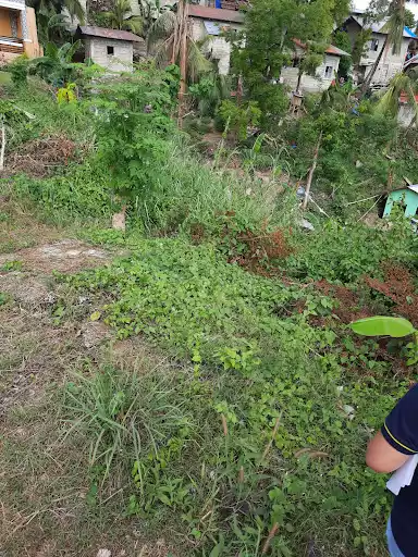 509sqm Lot for Sale inside a High end  Subdivision — Residential Lot in Talisay, Cebu, Philippines — Photo 4