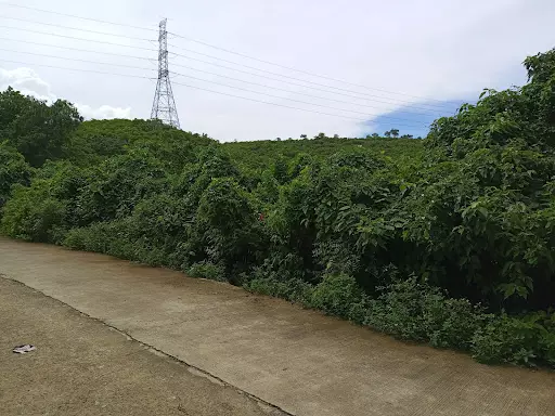 3.9 Industrial Lot in Cogon Compostela for Sale — Industrial Lot in Compostela, Cebu, Philippines — Photo 3