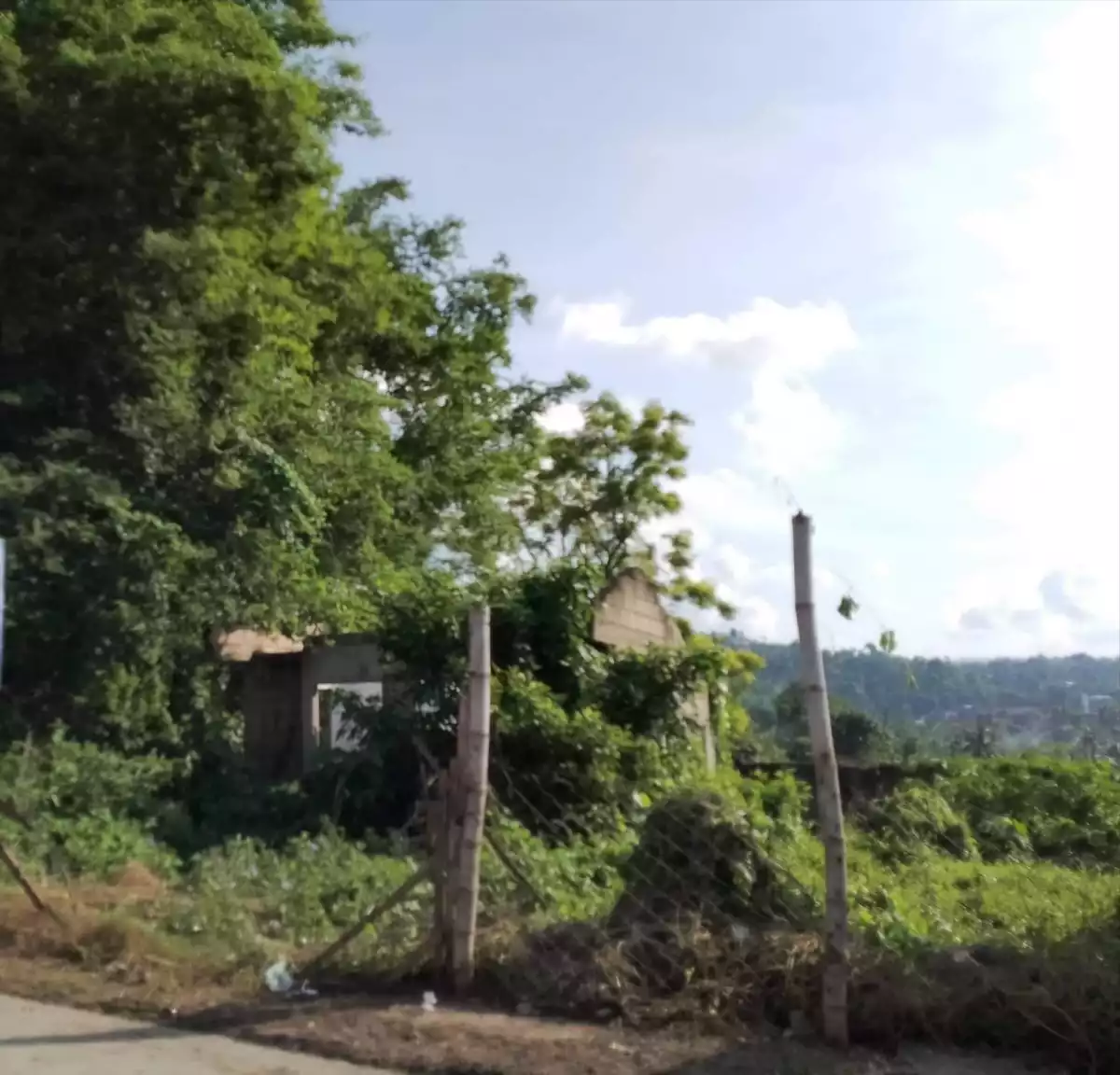 Residential land - photo 5