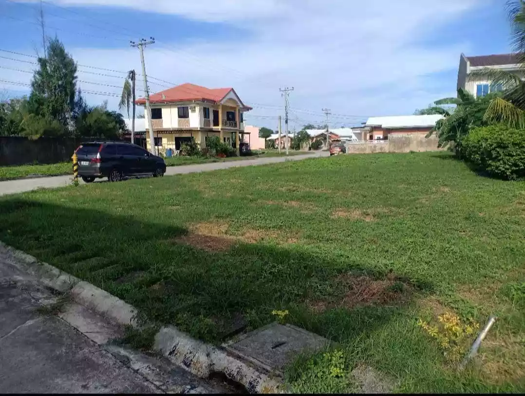 Lot For Sale in Alegria Palms Dos - photo 5