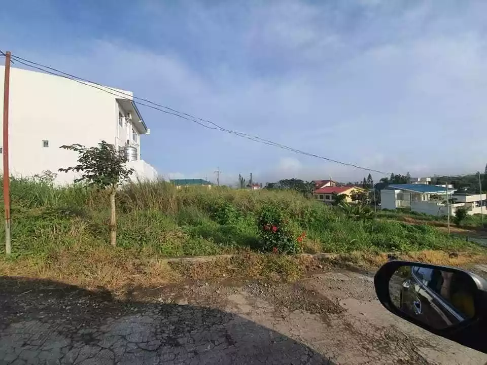 LOT FOR SALE -RESIDENTIAL LOT INSIDE SUBDIVISION IN TAGAYTAY — Residential Lot in End, Tagaytay, Cavite — Photo 7