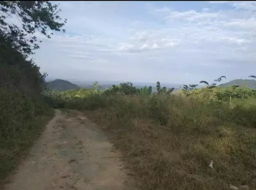 San Juan 134has — Agricultural Lot in San Juan, Batangas, Philippines — Photo 5