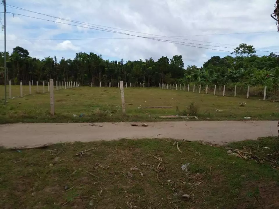 Clean Title Lot for Sale in Batinguel, Dumaguete City - photo 3