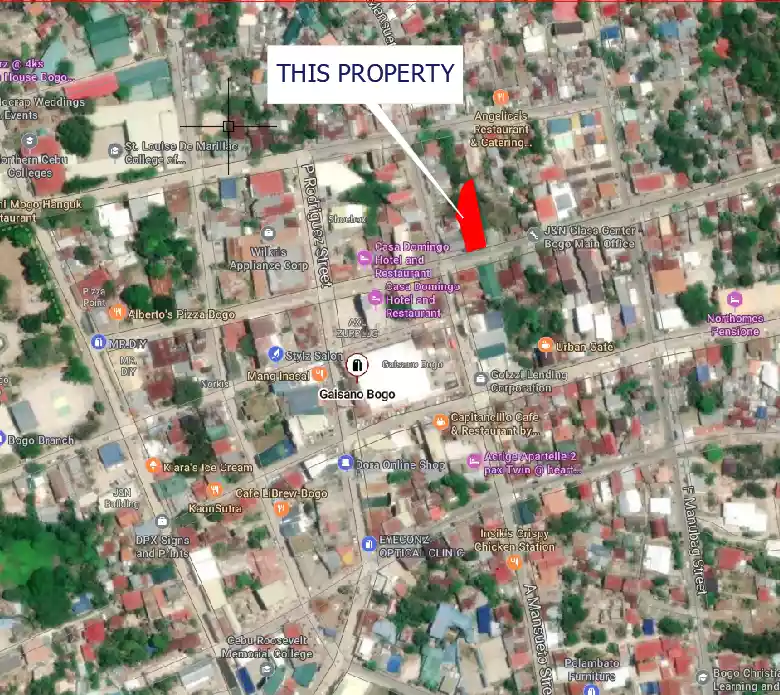 LOT FOR SALE IN BOGO CITY CENTRAL BUSINESS DISTRICT - photo 7