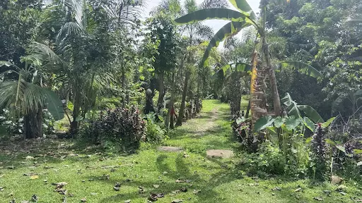 Lot For Sale Near Greensville 3 Bacolod City — Residential Lot in Bacolod, 6100 Negros Occidental, Philippines — Photo 4