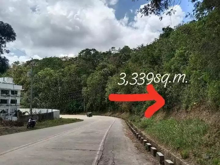 LOT FOR SALE IN EL NIDO, PALAWAN - photo 3