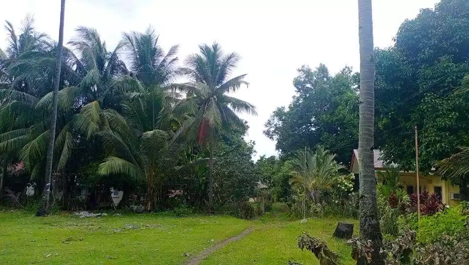 LOT FOR SALE - photo 2