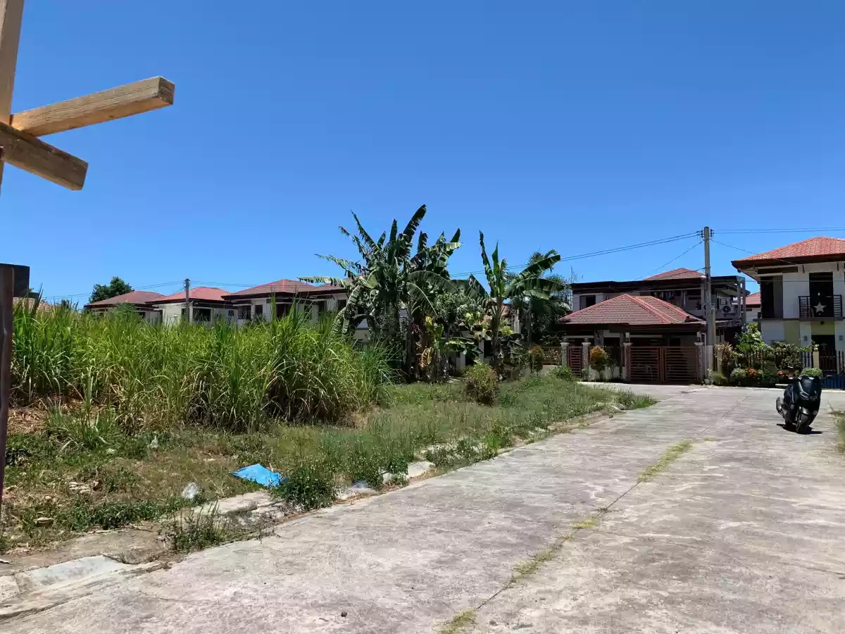 LOT ONLY FOR SALE INSIDE MIDORI PLAINS SUBDIVISION!! - photo 6