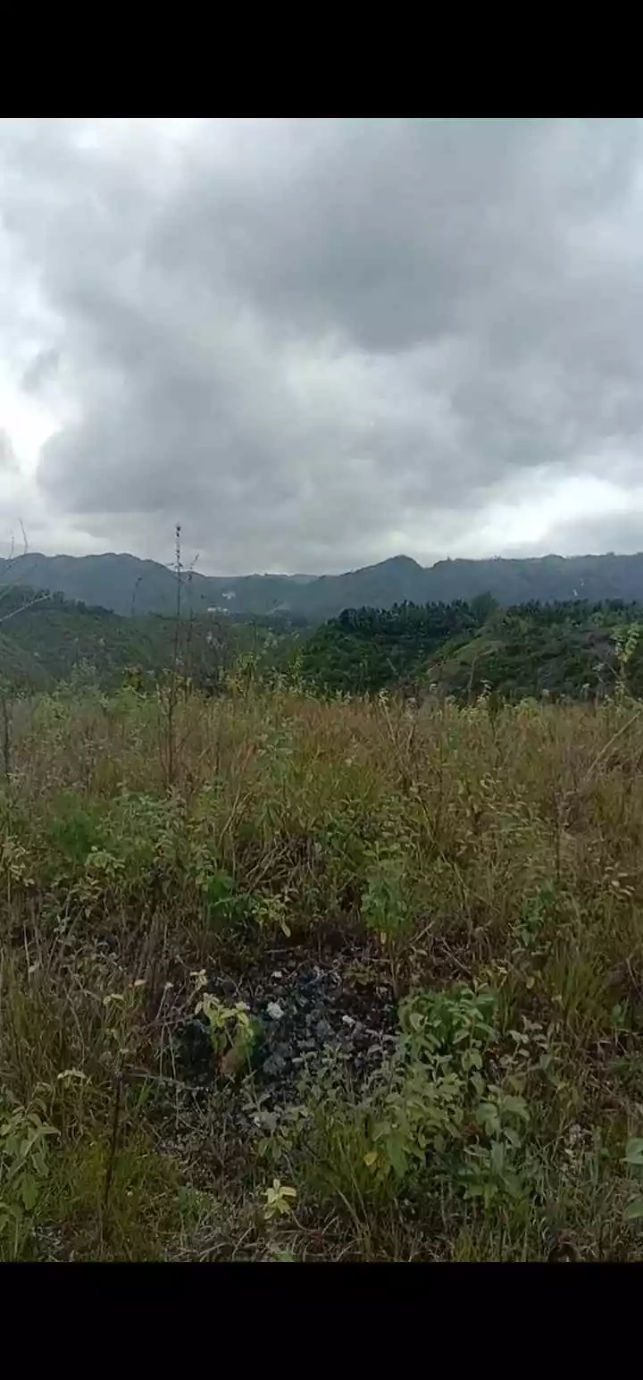 Banhigan Residential Lot — Residential Lot in Cebu, Philippines — Photo 2